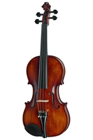 Roth & Junius Bird`s Eye Maple Violin St/E | Nouveau en boutique