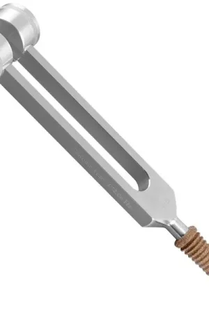 Quantité limitée - Sela Tuning Fork Pro Platonic Year