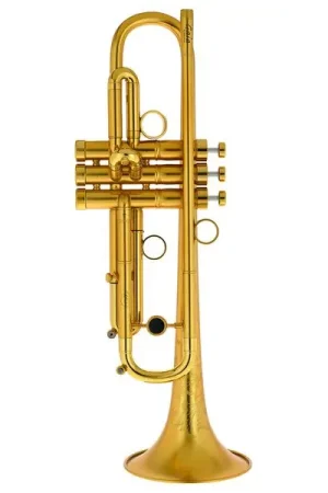 Nouveau au catalogue - InstruVents Brass Gaia Bb-Trumpet