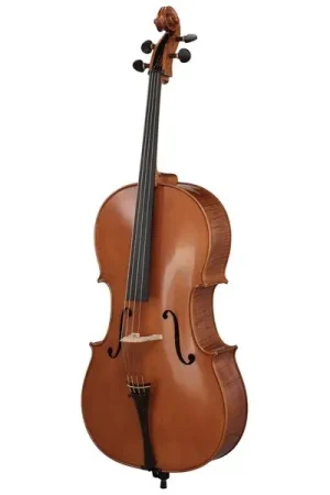 Produit phare - Rainer W. Leonhardt No. 300 Master Cello 4/4