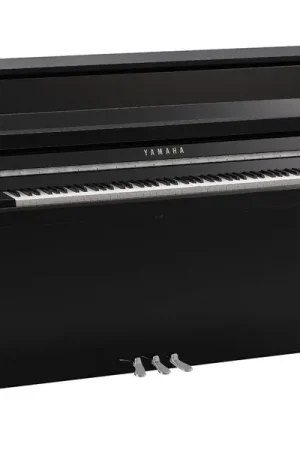 Yamaha B10 PEC - Offre à durée limitée