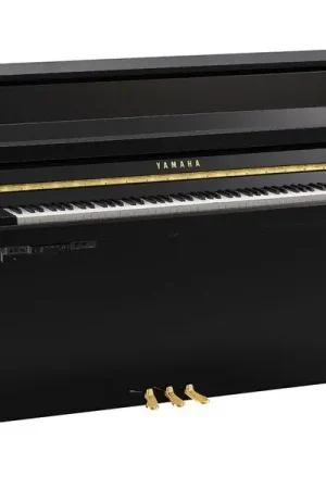 Yamaha B10 TC3 PE - En stock