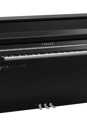 Yamaha B10 TC3 PEC - Réduction