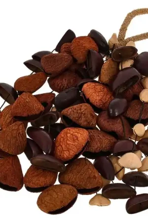 Bientôt épuisé - Sela Seed Shaker Mixed