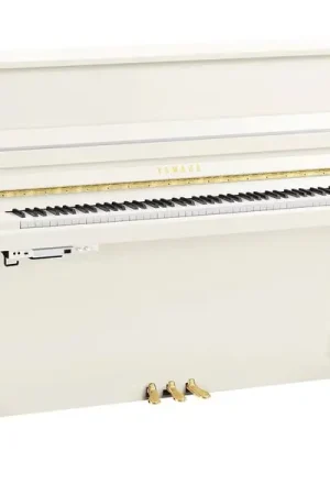 Best-seller | Yamaha B20 TC3 PWH