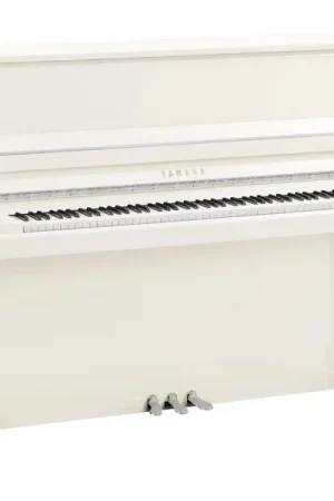 Yamaha B30 PWHC | Disponible à la commande