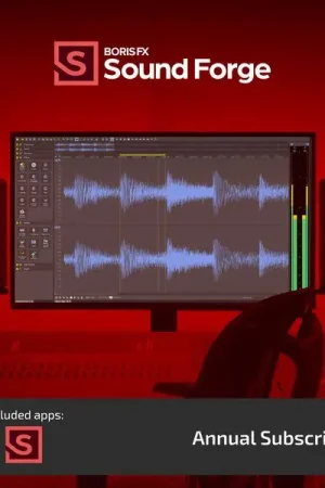 Boris FX Sound Forge 1 Year Access - Très populaire
