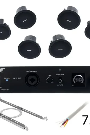 Bose Professional Veritas 1100BH/FS2C B Bundle | Promo exceptionnelle