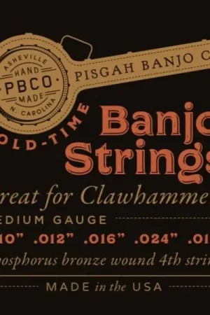 Incontournable | Pisgah Clawhammer Banjo String Set
