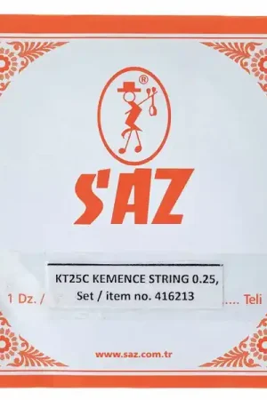 Retour facile | Saz KT25C Kemence Strings LP