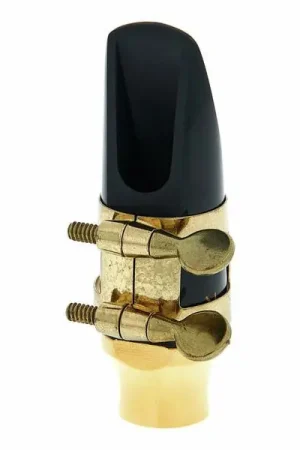 Tout nouveau - Bari Hybrid GP Soprano Sax 7
