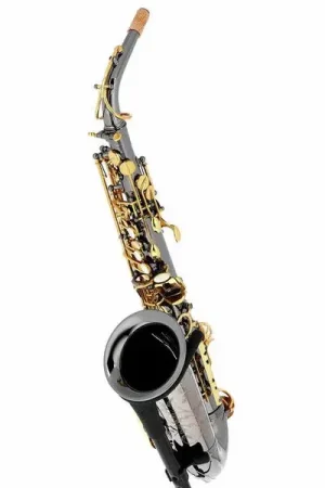 Haute qualité | Forestone GX Black Nickel Alto Sax