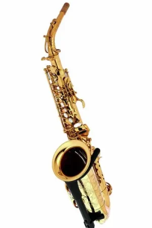 Commandez en ligne | Forestone RX Gold Lacquered Alto Sax
