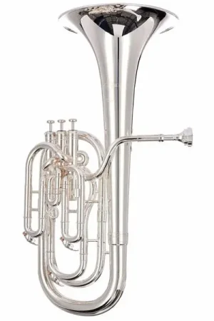 Aujourd'hui seulement | Thomann BR-802S Baritone Horn