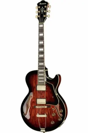 Remise | Ibanez AG95QA-DBS