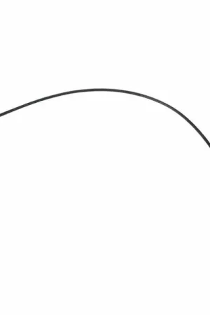 Roth & Junius Double Bass Tailgut Steel 1/8 - Plus que quelques unités