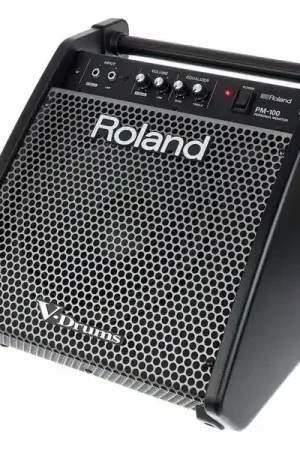 Commandez dès aujourd'hui | Roland PM-100 Personal Drum Monitor