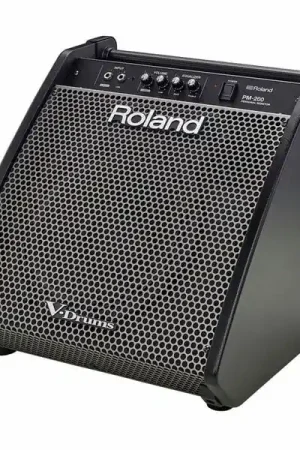 Roland PM-200 Personal Drum Monitor | Prix bas