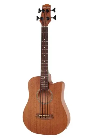 Ne manquez pas cette offre | Gold Tone Micro Bass 23 w/Bag
