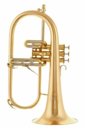 Adams F1 GM Custom 050 170 SL - Recommandé
