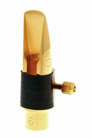 Nouveau chez nous - Jody Jazz Alto DV 6