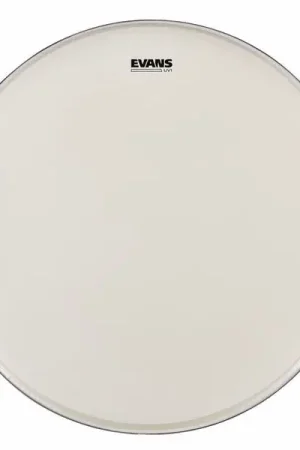 Evans 22" UV1 Coated Bass - Tout nouveau