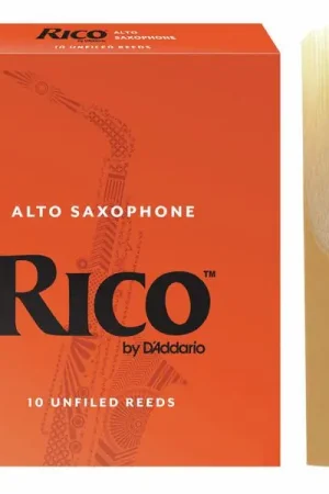 DAddario Woodwinds Rico Alto Sax 2.0 | Expédition express