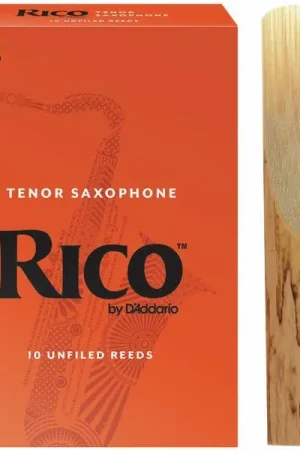 DAddario Woodwinds Rico Tenor Sax 2.5 | Nouveau chez nous