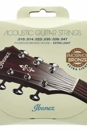 Ibanez IACSP61C Acoustic Steel | Top des ventes