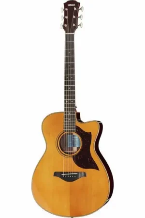 Derniers jours | Yamaha AC5R ARE