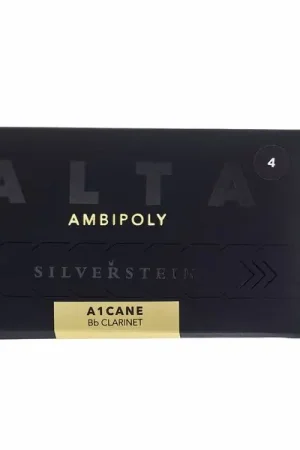 Prix avantageux - Silverstein Ambipoly Bb-Clarinet 4.0