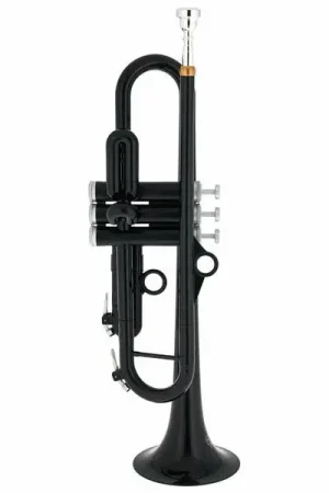 Préféré des clients | pBone music hyTech Bb-Trumpet black