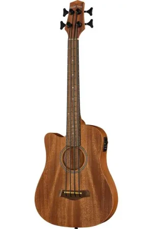 Dernières unités - Gold Tone Micro Bass 23 w/Bag LH