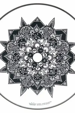 Incontournable | Remo 16" Emperor Clear A. Improta