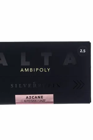 Se termine bientôt - Silverstein Ambipoly Jazz Alto 2.5