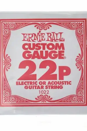Économisez maintenant | Ernie Ball 022p Single String Slinky Set