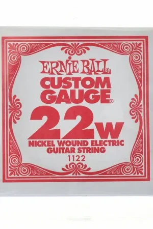Offre du jour | Ernie Ball 022 Single String Wound Set