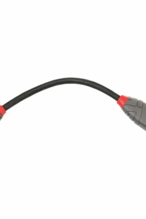 Lindy USB 3.1 Typ C Adapterkabel - Expédition express