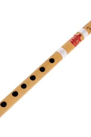 Thomann Nataraj Bansuri Side Blown C# - Affaire à saisir