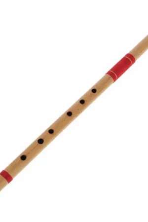 En stock - Thomann Nataraj Bansuri Pro Flute F
