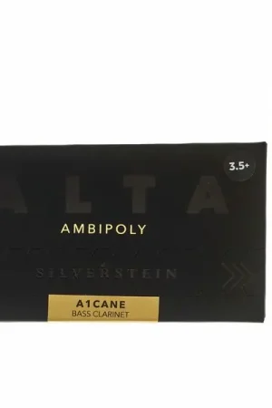 Silverstein Ambipoly Bass Clarinet 3.5+ - Bon prix