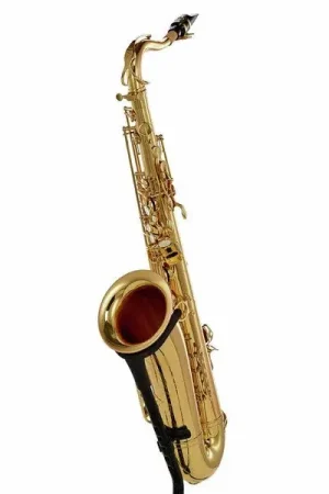 Qualité premium | Schagerl Superior Tenor Sax T-1L