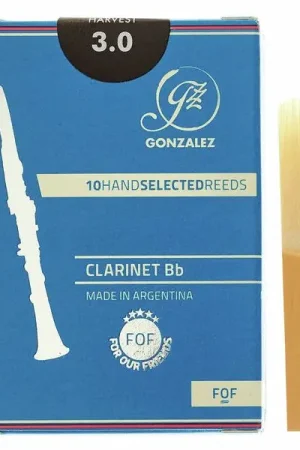 Gonzalez FOF Bb Clarinet 3.0 - Nouvel arrivage