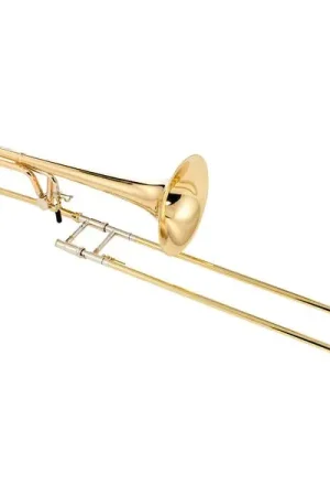 Schagerl Bb/F- Trombone Aurora - Achetez dès maintenant