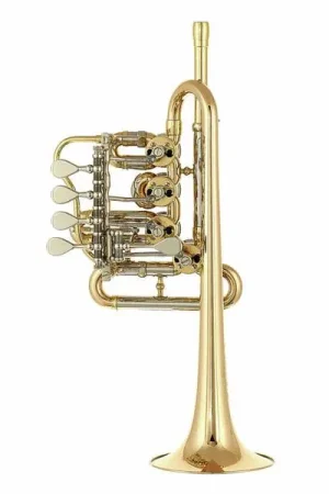Schagerl Berlin Piccolo Trumpet L | Plébiscité par les clients