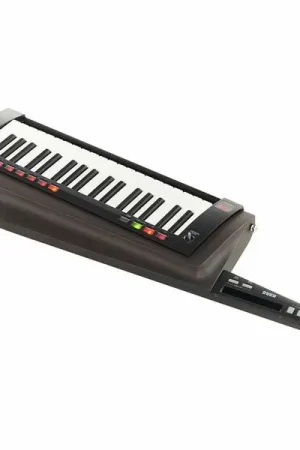 Petit prix | Korg RK-100S 2 Black