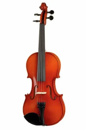 Franz Sandner Schönbach Violin Mod.101 4/4 | Haute qualité