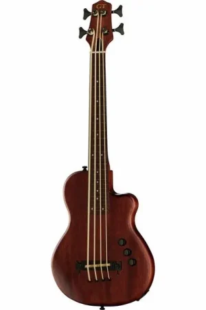 Nouveau au catalogue - Gold Tone ME-BASS/Fretless