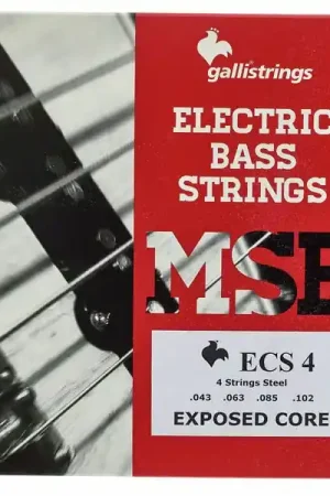 Direct fabricant | Galli Strings ECS4 Exposed Core Bass Str.