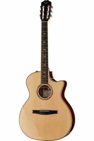 Taylor 814ce-N - Bon prix
